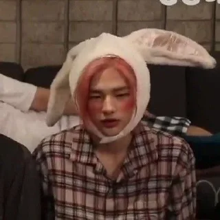 🐰
