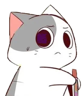 🐈