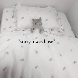 🐾