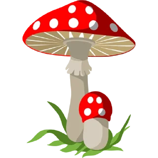 🍄