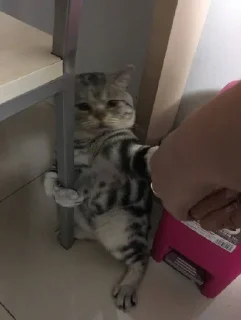 💓