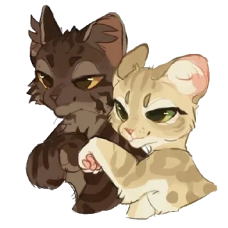 🐱