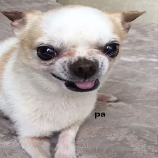 😤