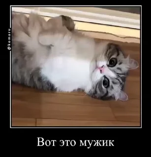 🙈