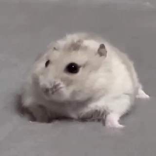 😳