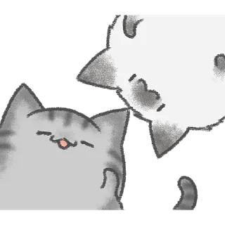 ✋