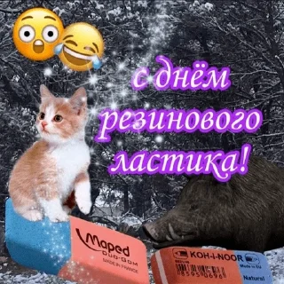 😺