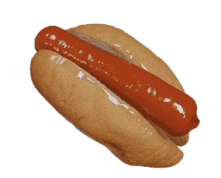 🌭