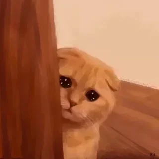 🌟
