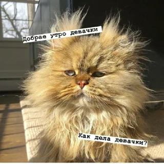 🥱