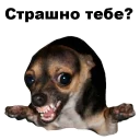 👺