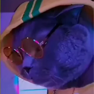🤩