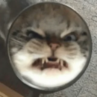 😡