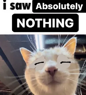🙈