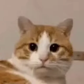 🤔