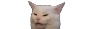 🐱