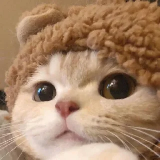 🥺
