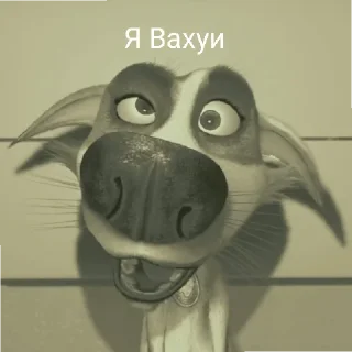 😱