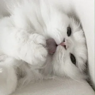 😛
