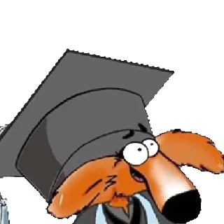 🎓