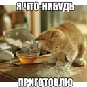 🍲
