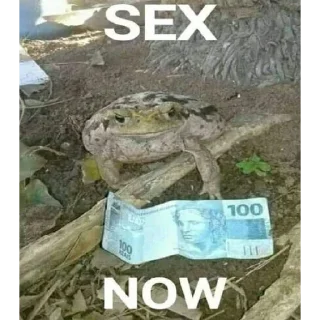 🤑