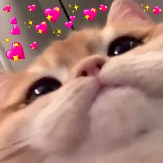💖