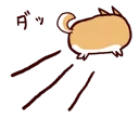 🐶