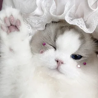 👋
