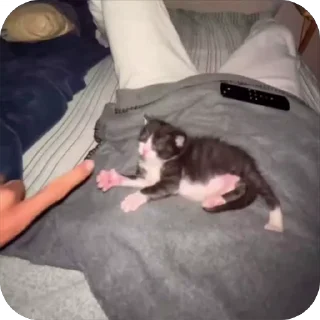 🤩