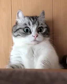 🤨