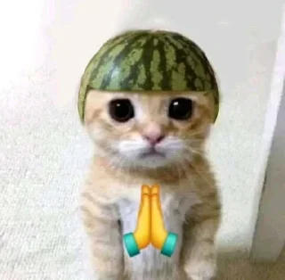 🙏