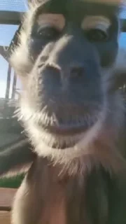 😘