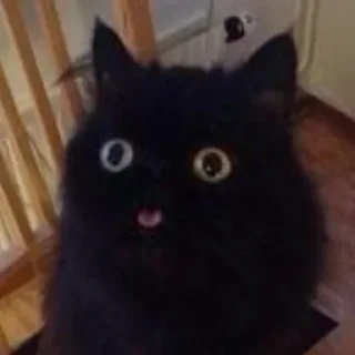 😝
