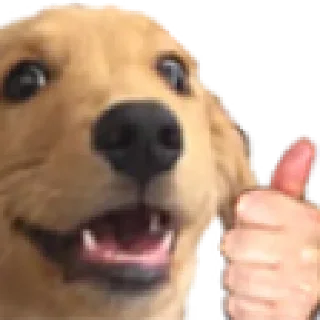 😃