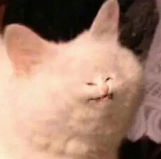 🥴