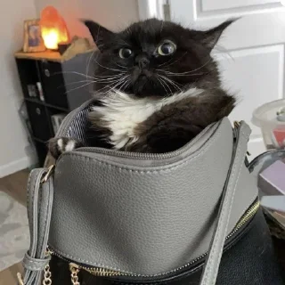 🙂
