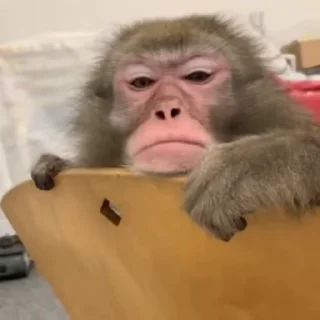 🥱