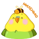 🐝