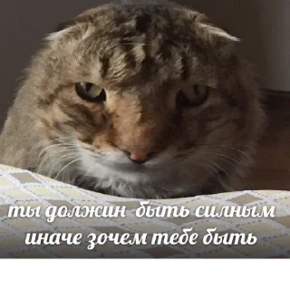 👆