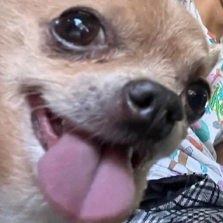 😜
