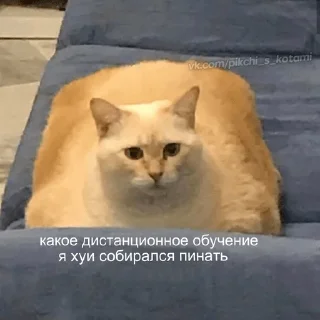 ☹️