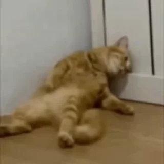 😢