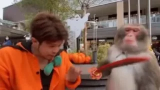 👊