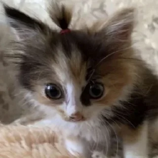 😳