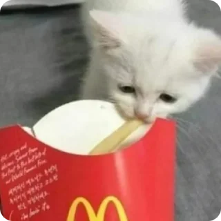 🍟
