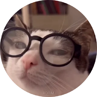 🤓