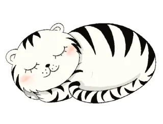 😴