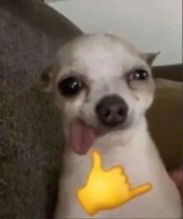 🤙