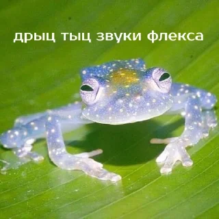 💃